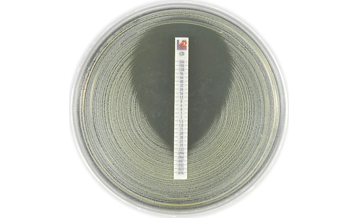 Liofilchem MIC Test Strip MTS Clindamycin CD 