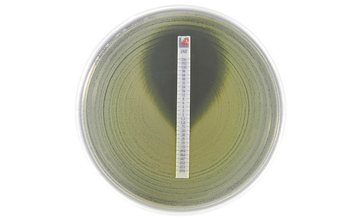 FDA-Cleared Liofilchem MIC Test Strip MTS Linezolid LNZ 