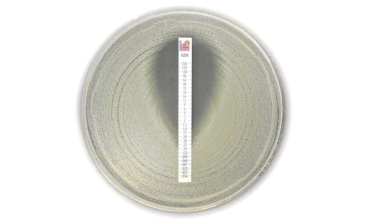 Azithromycin MIC strip