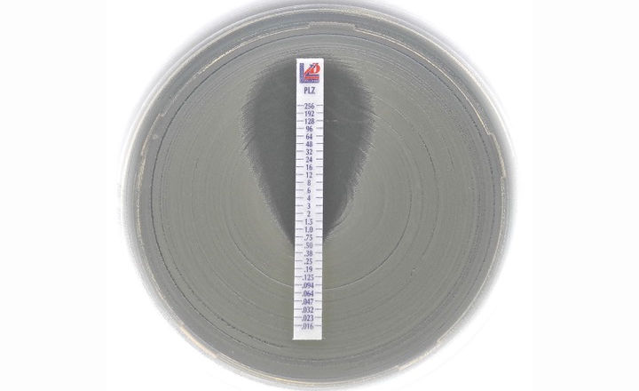 MIC Test Strip Plazomicin PLZ
