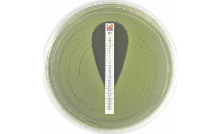 MTS MIC Test Strip Eravacycline