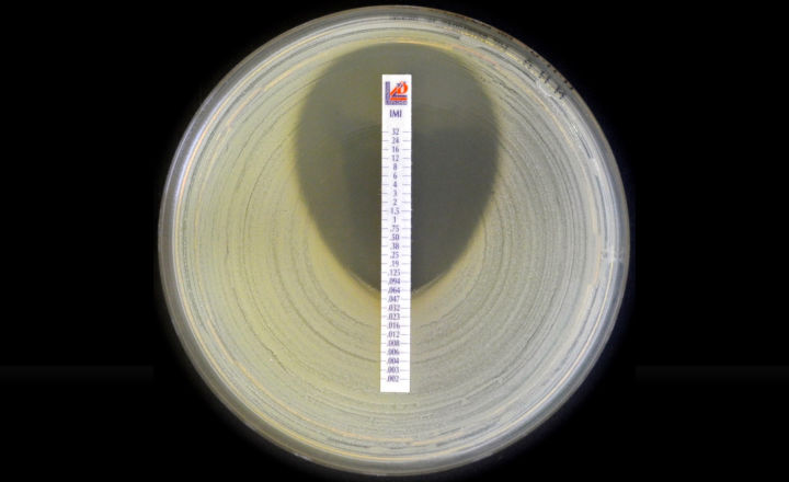 MIC Test Strip Imipenem