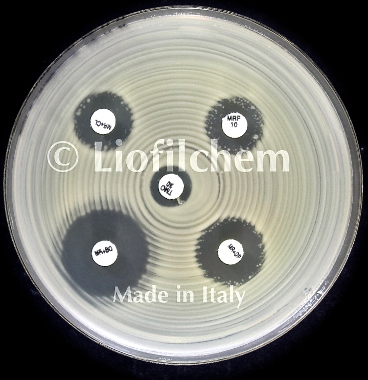 Disc Tests for Confirmation of Carbapenemase-producing Enterobacteriaceae