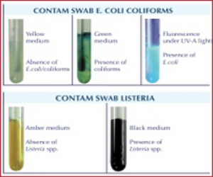 Contam Swab