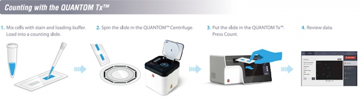 Protocol for rapid single bacterial cell quantification