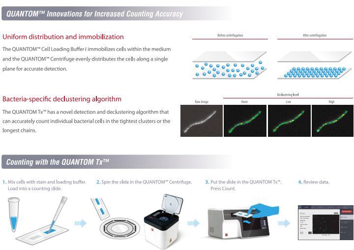 Count Single Bacterial Cells Automatically