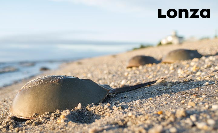 Lonza s 5th Global Endotoxin Testing Summit