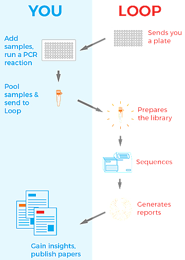 1946_LoopGenomics_Workflow