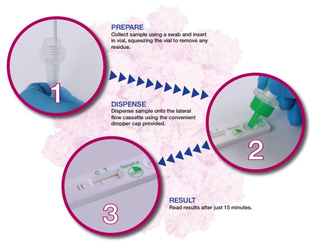 Rapid Norovirus Detectino for Outbreaks