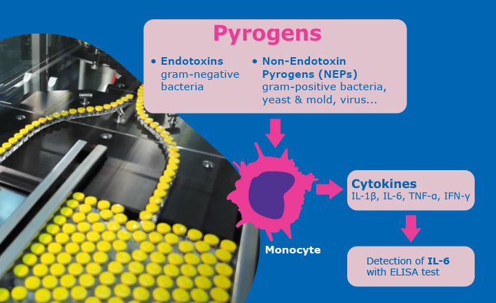 Use of the monocyte activation test for pyrogen detection