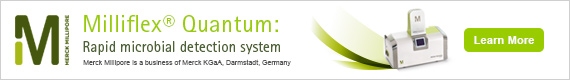 Quantum Rapid Microbial Detection