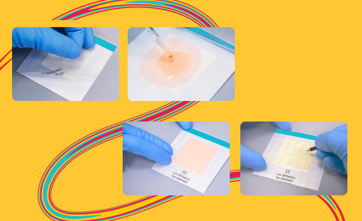 MC-Media Pads for Rapid Microbial Testing