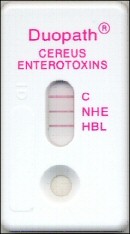 New Rapid Test for the Detection of Bacillus cereus