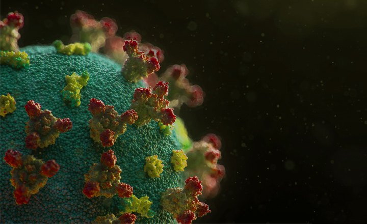 SARS CoV 2 Inactivated Variants for assay development