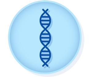 SARS CoV 2 Synthetic RNA N Gene Targets