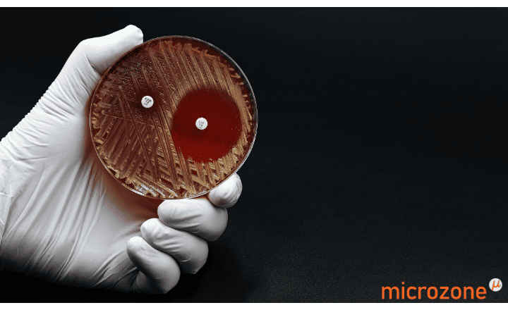 Antimicrobial Resistance and the MRSA Crisis: A Silent Pandemic Demanding Urgent Global Action