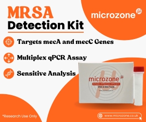 MRSA qPCR Detection kit