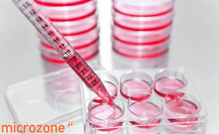 Protect Your Cultures with Precision – Introducing the MycoDetect qPCR Detection Kit from Microzone