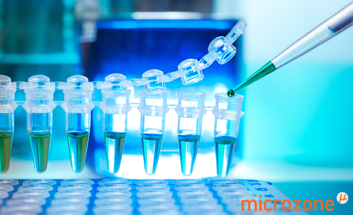 High‐Resolution Melting in Microbiology: Principles, Applications and the Role of Optimised Reagents 