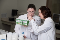 Contract testing lab uses Greenlight technology