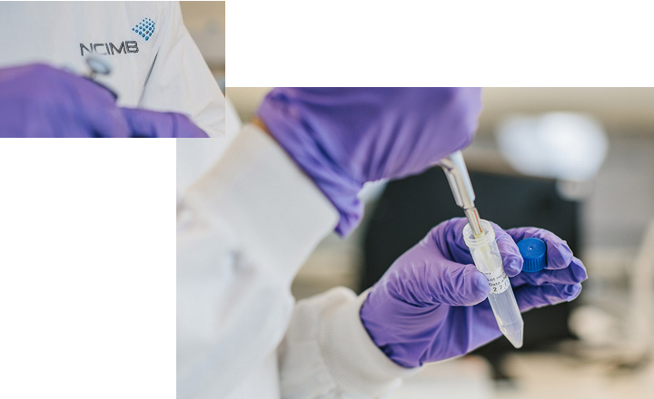 Customised qPCR Assays