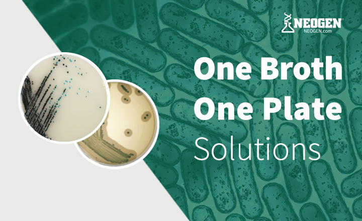 NEOGENs One Broth One Plate Solutions