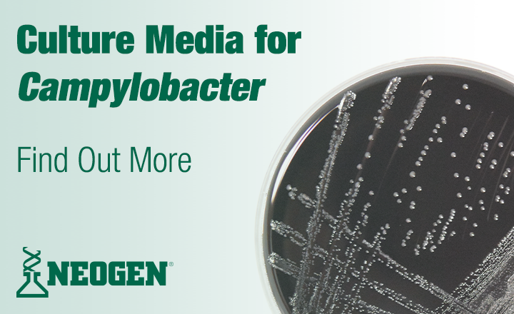 culture media for campylobacter