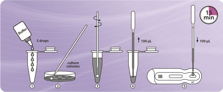 1909_NG-Biotech_Procedure