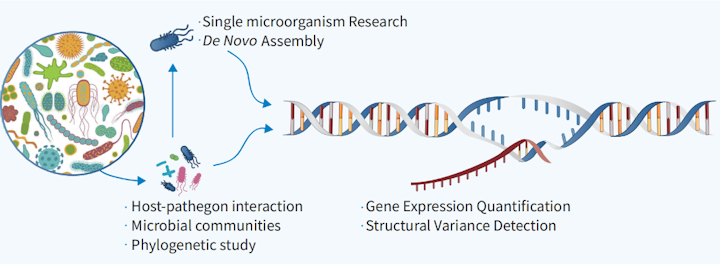 2340_Novogene1