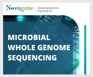 Microbial Whole Genome Sequencing Service