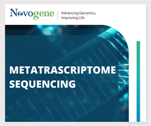 Metatranscriptome Sequencing Service