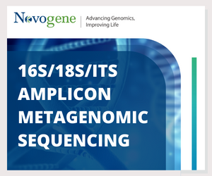 16S 18S ITS Amplicon Metagenomic Sequencing Service