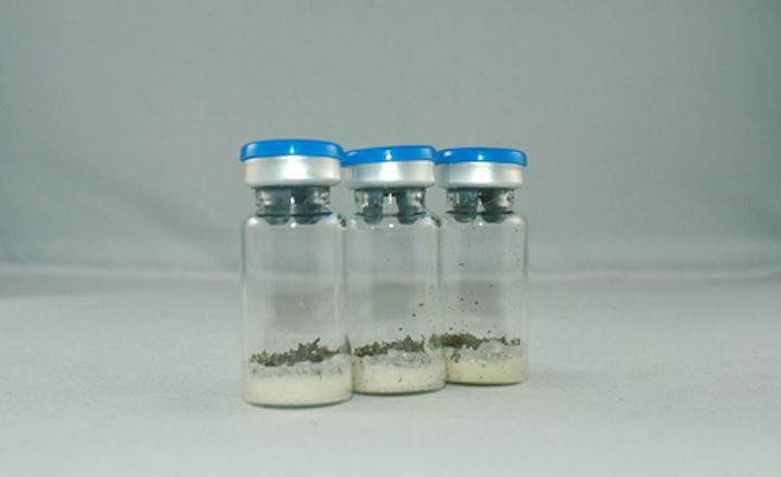 Sample of Hemp