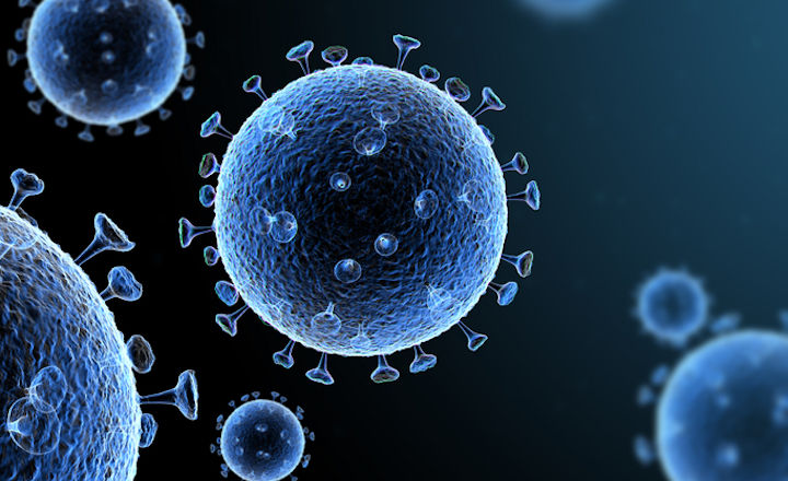 OpGen sars cov 2 PCR kit with universal lysis buffer