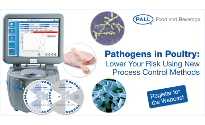 Detect Campylobacter and Salmonella in Poultry