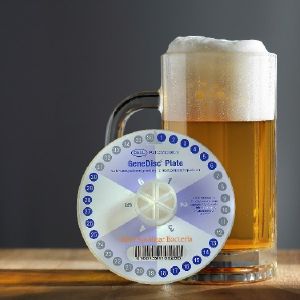 GeneDisc Beer Spoilage Bacteria in under 2 Hours