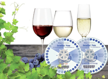 Brettanomyces detection in wine