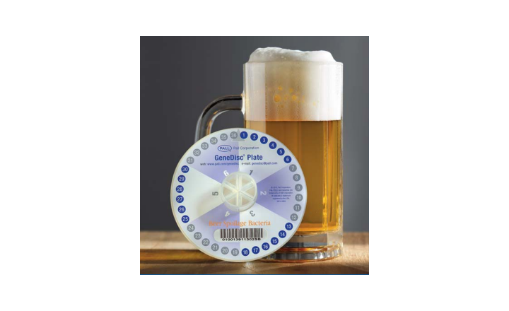 Best way to detect L acetotolerans in beer