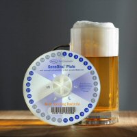 GeneDisc Rapid Microbiology System for beer spoilage