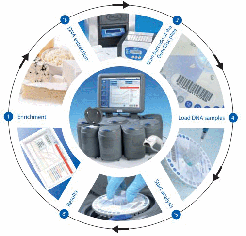PALL GeneDisc Listeria test cycle
