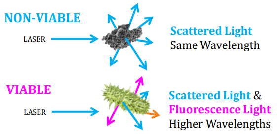 DetectionViableParticles