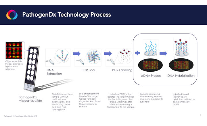 PathogenDx Workflow
