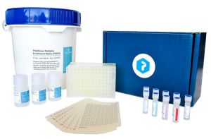 Multiplex testing of STEC, Salmonella and L.mono