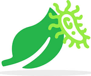 Plant leaf with pathogens representing plant disease detection