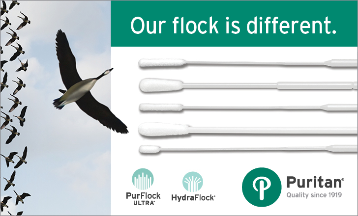  p Our Flock is Different p 