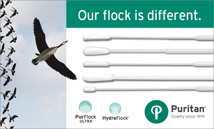 p Our Flock is Different p