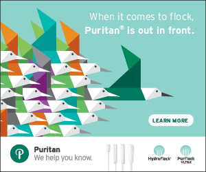 When it comes to flock Puritan is out in front