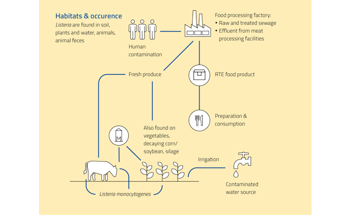 r-biopharm infographic