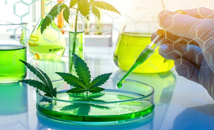 cannabis hemp microbial testing