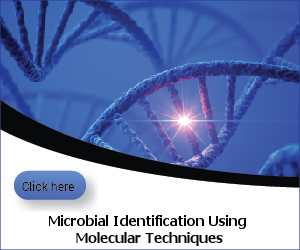 Molecular techniques - ID and typing